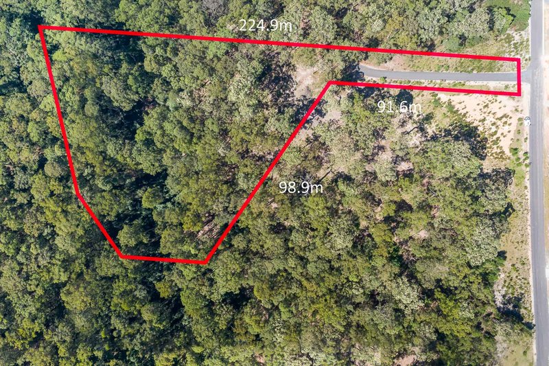 Photo - 25 Sanctuary Forest Place, Long Beach NSW 2536 - Image 2