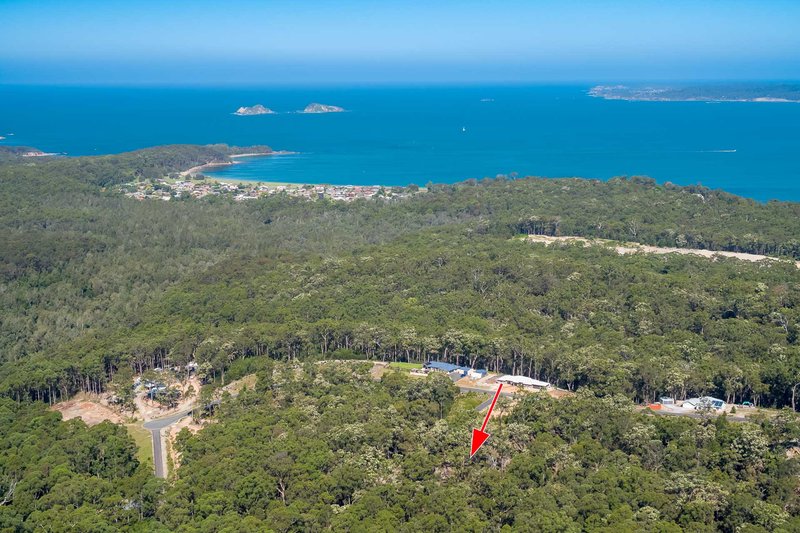 Photo - 25 Sanctuary Forest Place, Long Beach NSW 2536 - Image 3