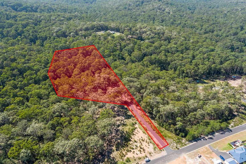 Photo - 25 Sanctuary Forest Place, Long Beach NSW 2536 - Image 4