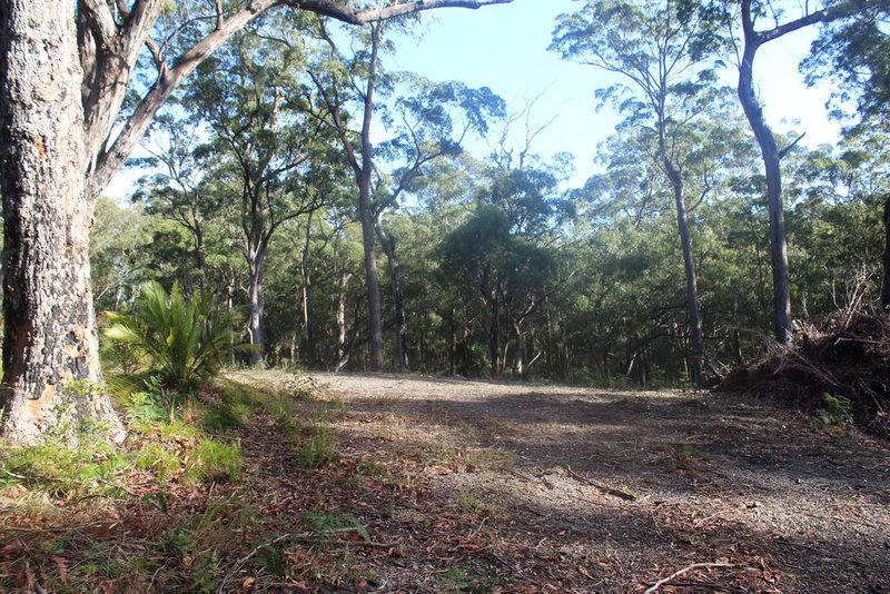 Photo - 25 Sanctuary Forest Place, Long Beach NSW 2536 - Image 6