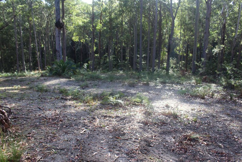 Photo - 25 Sanctuary Forest Place, Long Beach NSW 2536 - Image 7