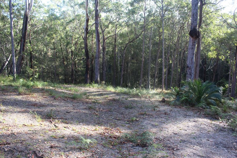 Photo - 25 Sanctuary Forest Place, Long Beach NSW 2536 - Image 8