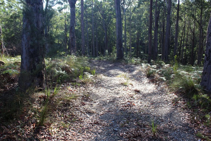 Photo - 25 Sanctuary Forest Place, Long Beach NSW 2536 - Image 11