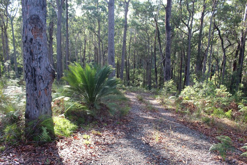 Photo - 25 Sanctuary Forest Place, Long Beach NSW 2536 - Image 12