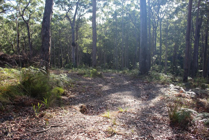 Photo - 25 Sanctuary Forest Place, Long Beach NSW 2536 - Image 13