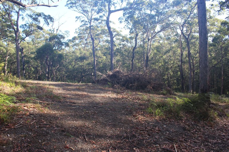 Photo - 25 Sanctuary Forest Place, Long Beach NSW 2536 - Image 14