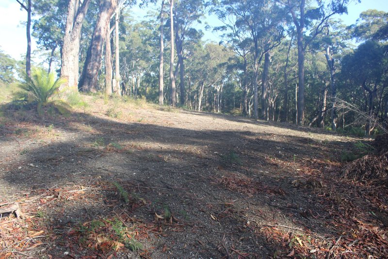 Photo - 25 Sanctuary Forest Place, Long Beach NSW 2536 - Image 16