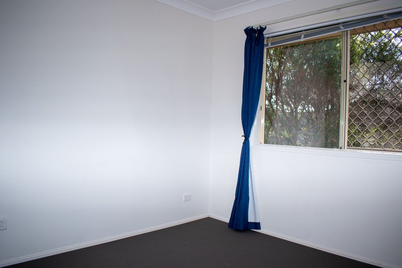 Photo - 25 Statesman Circuit, Sippy Downs QLD 4556 - Image 7