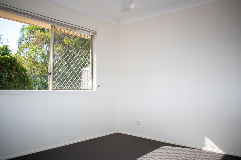 Photo - 25 Statesman Circuit, Sippy Downs QLD 4556 - Image 8
