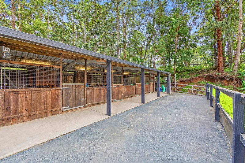 Photo - 25 Thendara Drive, Mount Nathan QLD 4211 - Image 5