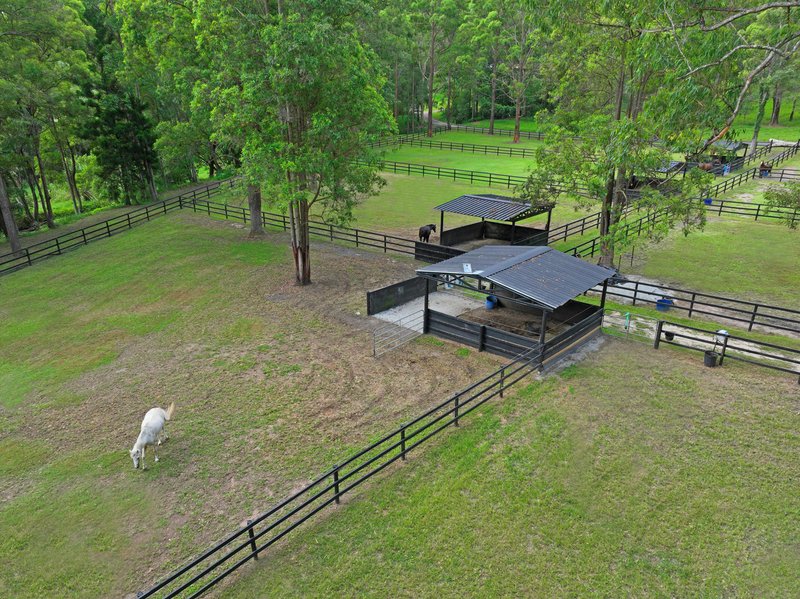 Photo - 25 Thendara Drive, Mount Nathan QLD 4211 - Image 25