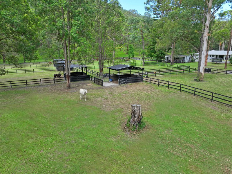 Photo - 25 Thendara Drive, Mount Nathan QLD 4211 - Image 26