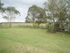 Photo - 25 Thomas Lane, Oxley Island NSW 2430 - Image 16