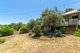 Photo - 25 Turner Road, Bridgetown WA 6255 - Image 13