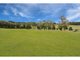 Photo - 25 White Gum Place, North Maleny QLD 4552 - Image 3