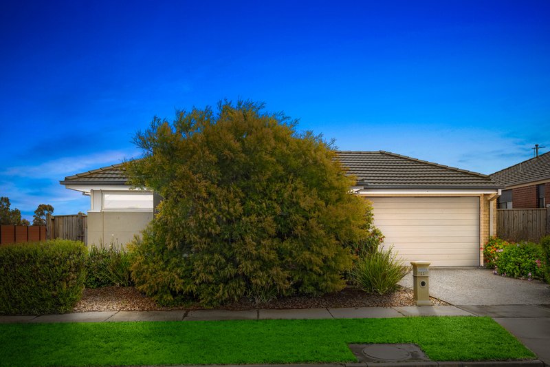 Photo - 25 Willesden Crescent, Wyndham Vale VIC 3024 - Image 3