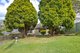 Photo - 25 Willis Street, Charlestown NSW 2290 - Image 1