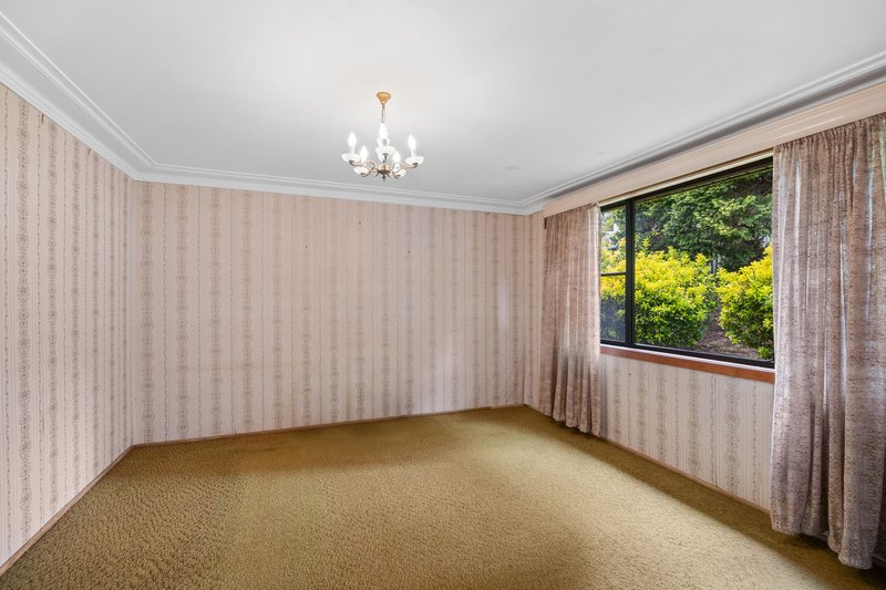 Photo - 25 Willis Street, Charlestown NSW 2290 - Image 4