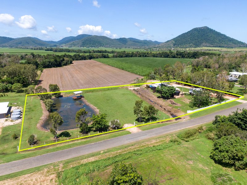 Photo - 25 Windemere Drive, Strathdickie QLD 4800 - Image 4