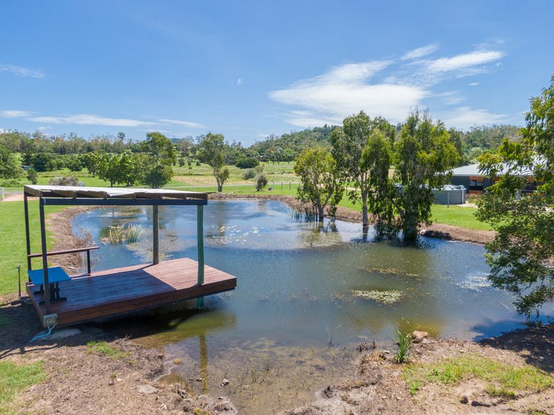 Photo - 25 Windemere Drive, Strathdickie QLD 4800 - Image 7