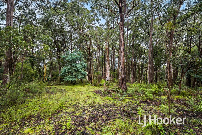 Photo - 250 Harvie Road, Pakenham Upper VIC 3810 - Image 13