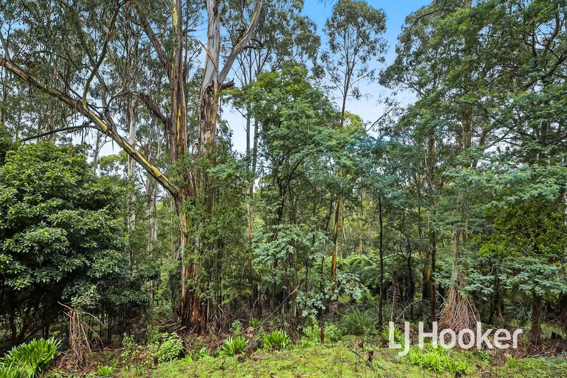 Photo - 250 Harvie Road, Pakenham Upper VIC 3810 - Image 15