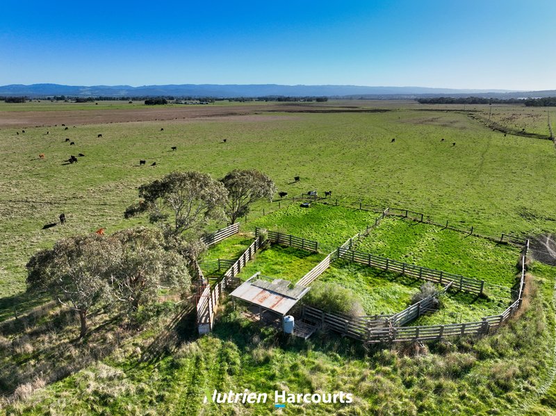 Photo - 250 Pound Road E , Yarram VIC 3971 - Image 2