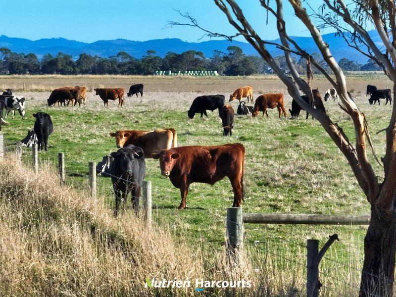 Photo - 250 Pound Road E , Yarram VIC 3971 - Image 3