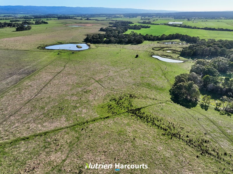 Photo - 250 Pound Road E , Yarram VIC 3971 - Image 7