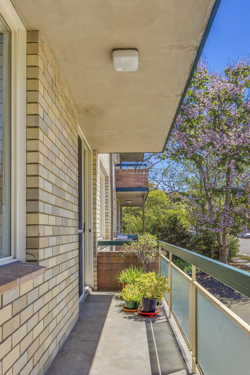 Photo - 2/50 Roseberry Street, Manly Vale NSW 2093 - Image 6