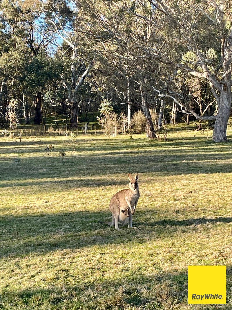 Photo - 250 The Forest Road, Bywong NSW 2621 - Image 6