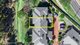Photo - 25/1 Ibis Boulevard, Eli Waters QLD 4655 - Image 23