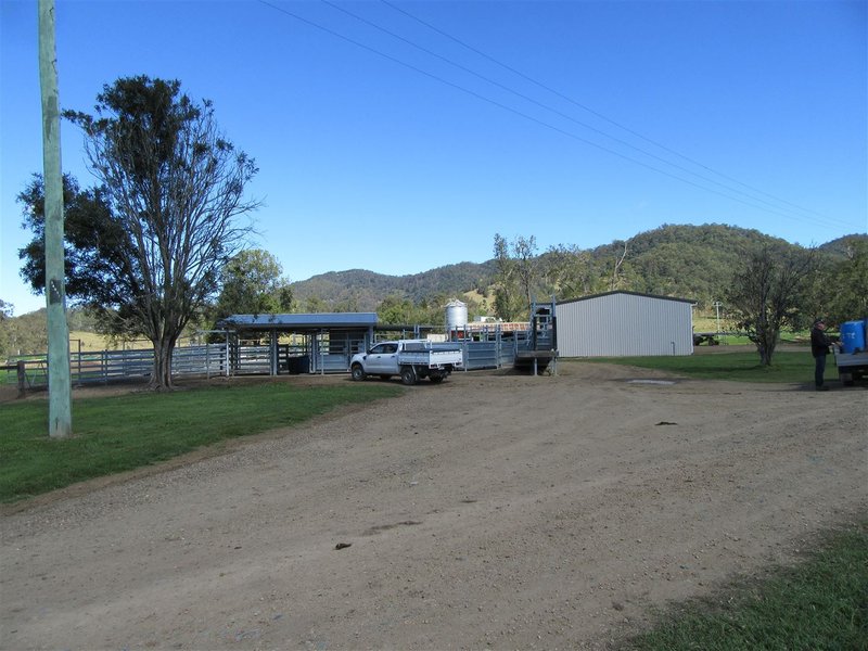 Photo - 2527 Maleny Kenilworth Road, Conondale QLD 4552 - Image 14