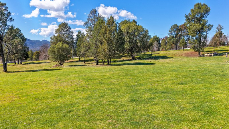Photo - 253 Catherine Way, Tamworth NSW 2340 - Image 15