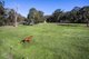 Photo - 253 East Nannup Road, Nannup WA 6275 - Image 1