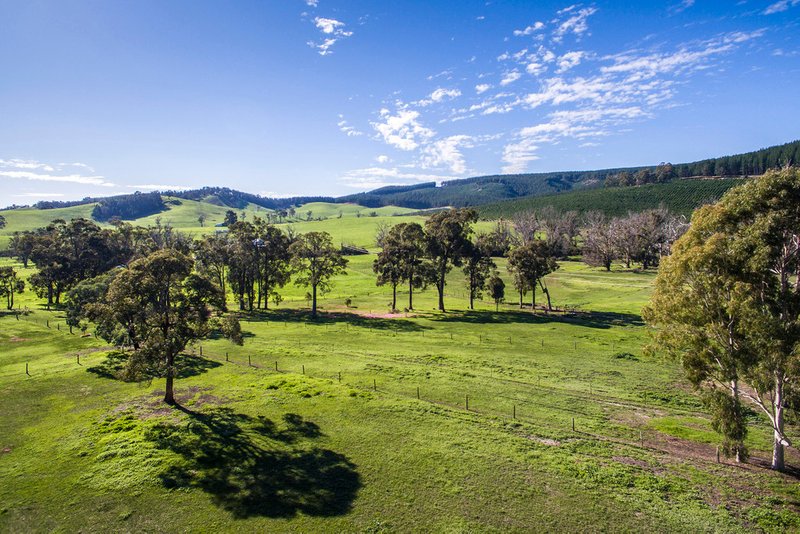 Photo - 253 East Nannup Road, Nannup WA 6275 - Image 2