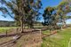 Photo - 253 East Nannup Road, Nannup WA 6275 - Image 17