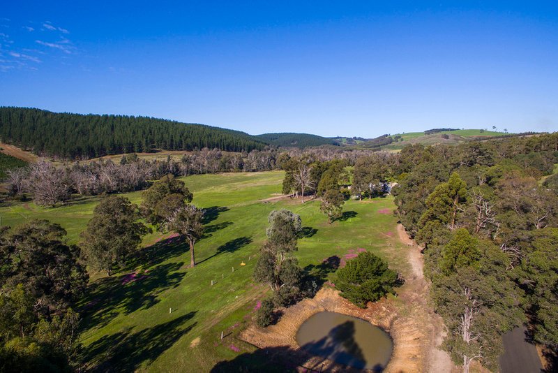 Photo - 253 East Nannup Road, Nannup WA 6275 - Image 20