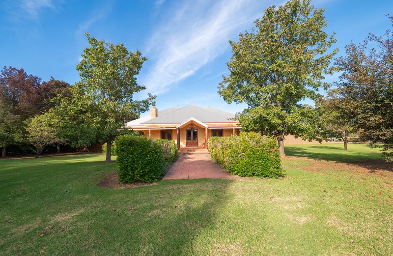 Photo - 253 Farnell Street, Forbes NSW 2871 - Image 2