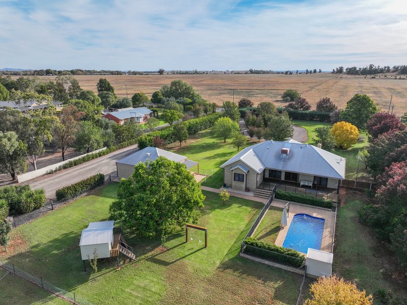 Photo - 253 Farnell Street, Forbes NSW 2871 - Image 6