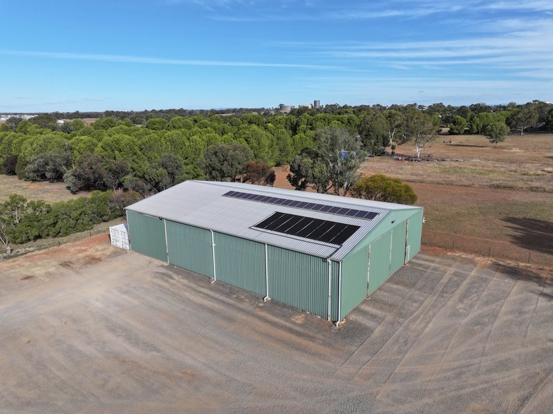Photo - 253 Farnell Street, Forbes NSW 2871 - Image 23