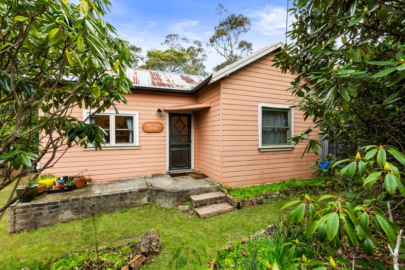 Photo - 253 Hat Hill Road, Blackheath NSW 2785 - Image 1