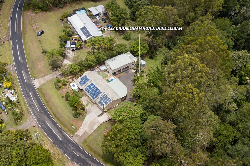 Photo - 254-258 Diddillibah Road, Diddillibah QLD 4559 - Image 3