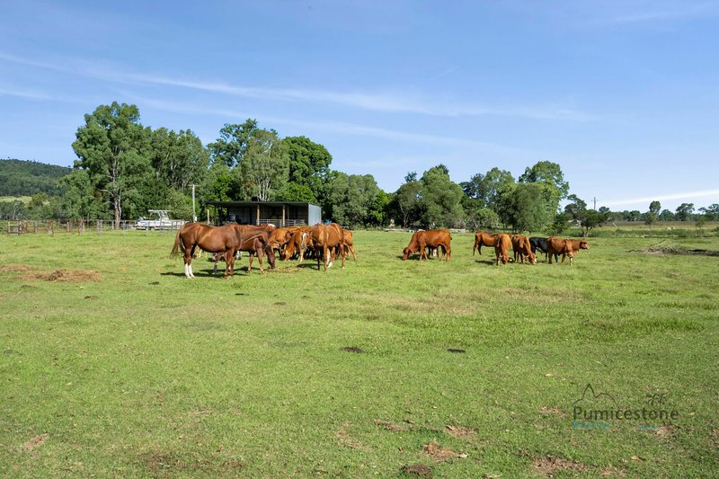 Photo - 254 Braemore Lane, Braemore QLD 4313 - Image 23