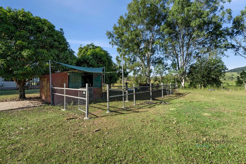 Photo - 254 Braemore Lane, Braemore QLD 4313 - Image 24