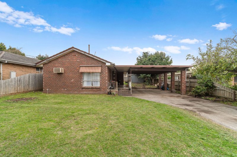 Photo - 254 Jones Road, Somerville VIC 3912 - Image 17