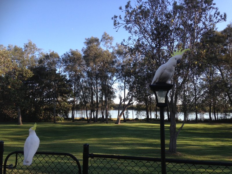 Photo - 25/43 Myola Court, Coombabah QLD 4216 - Image 35