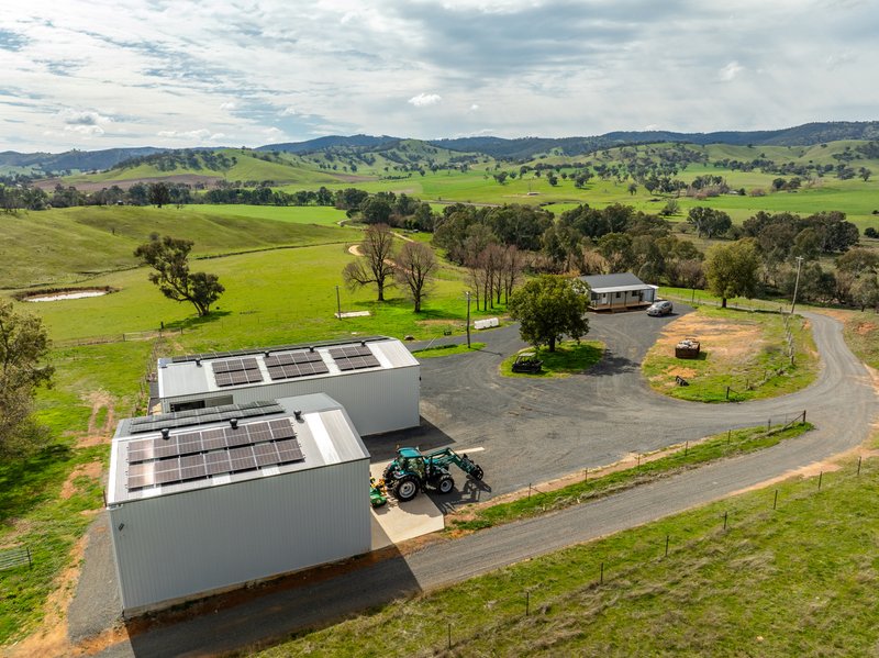 Photo - 2543 Westbrook Road, Oberne Creek NSW 2650 - Image 1