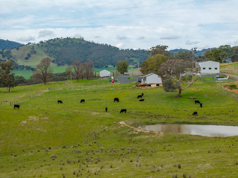 Photo - 2543 Westbrook Road, Oberne Creek NSW 2650 - Image 4
