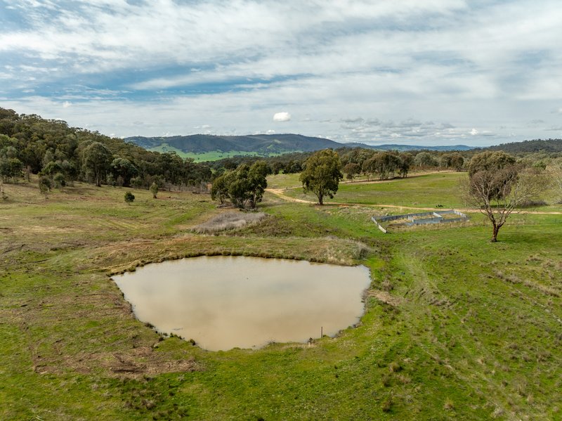Photo - 2543 Westbrook Road, Oberne Creek NSW 2650 - Image 6